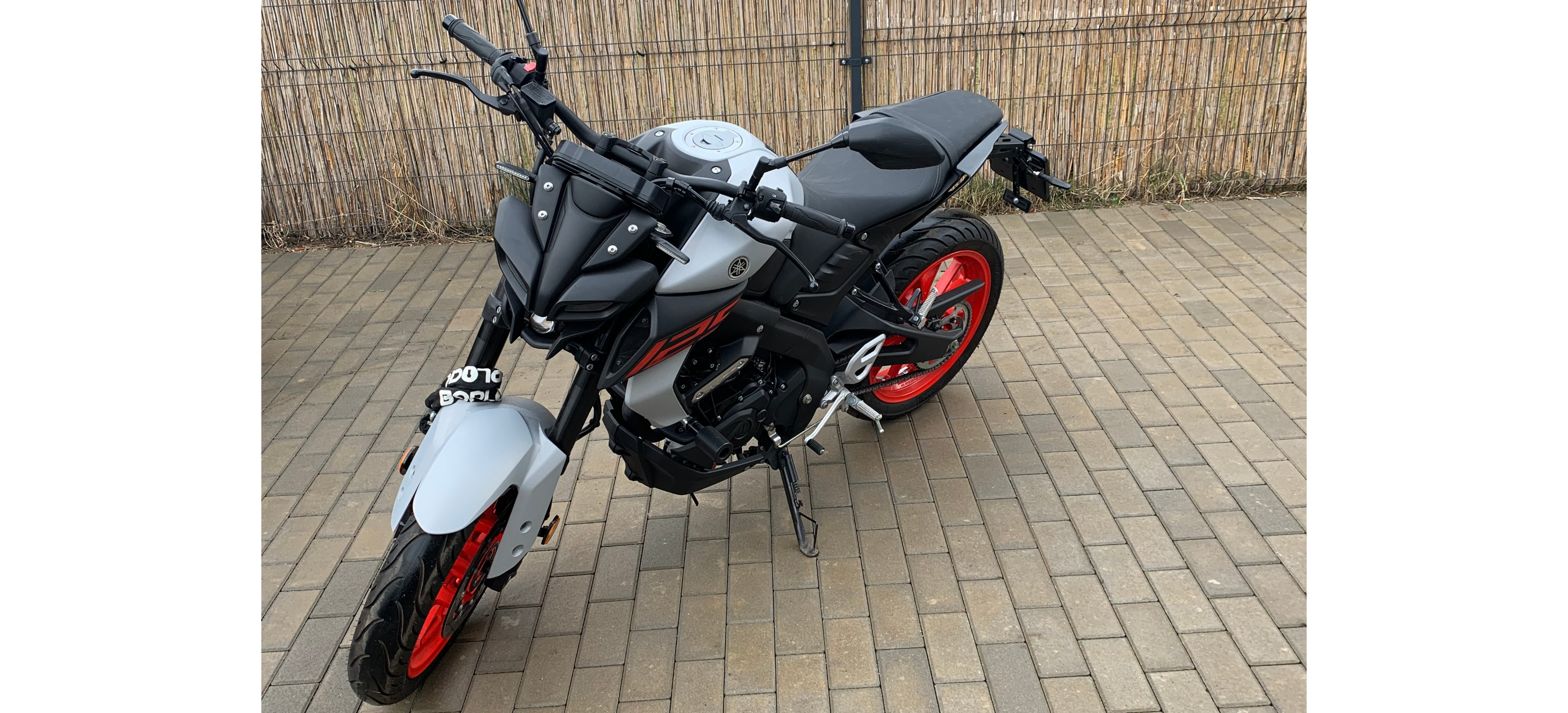 Yamaha MT125 szara z floty WypozyczMotoGolus